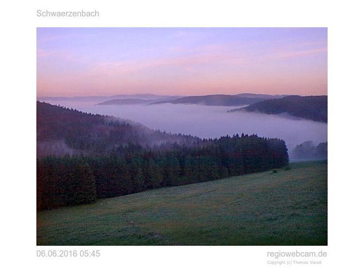 Pension Forsthaus Taele - Das Gaestehaus Vom Schwarzwaldgasthaus Salenhof Titisee-Neustadt Eksteriør billede