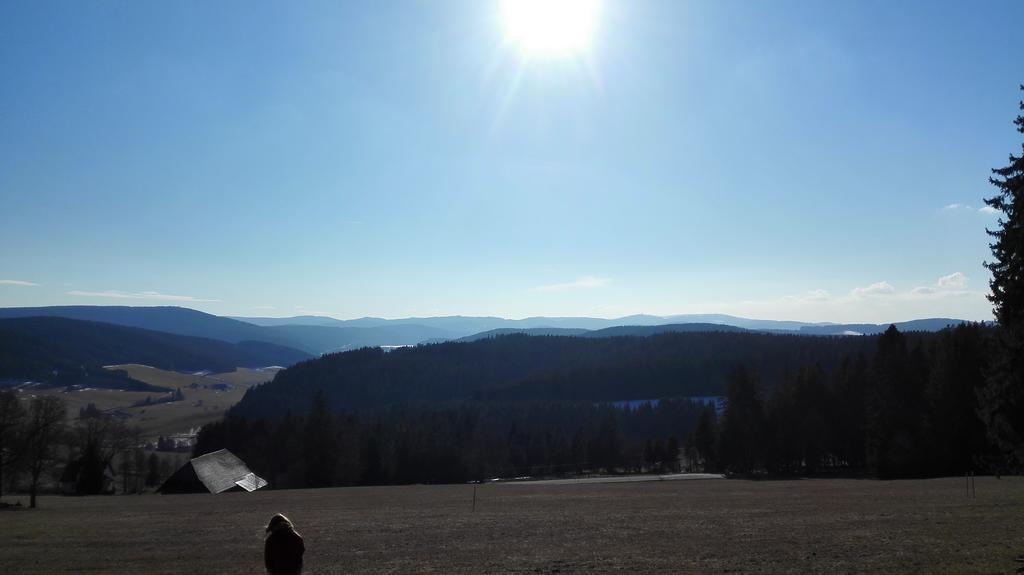 Pension Forsthaus Taele - Das Gaestehaus Vom Schwarzwaldgasthaus Salenhof Titisee-Neustadt Eksteriør billede
