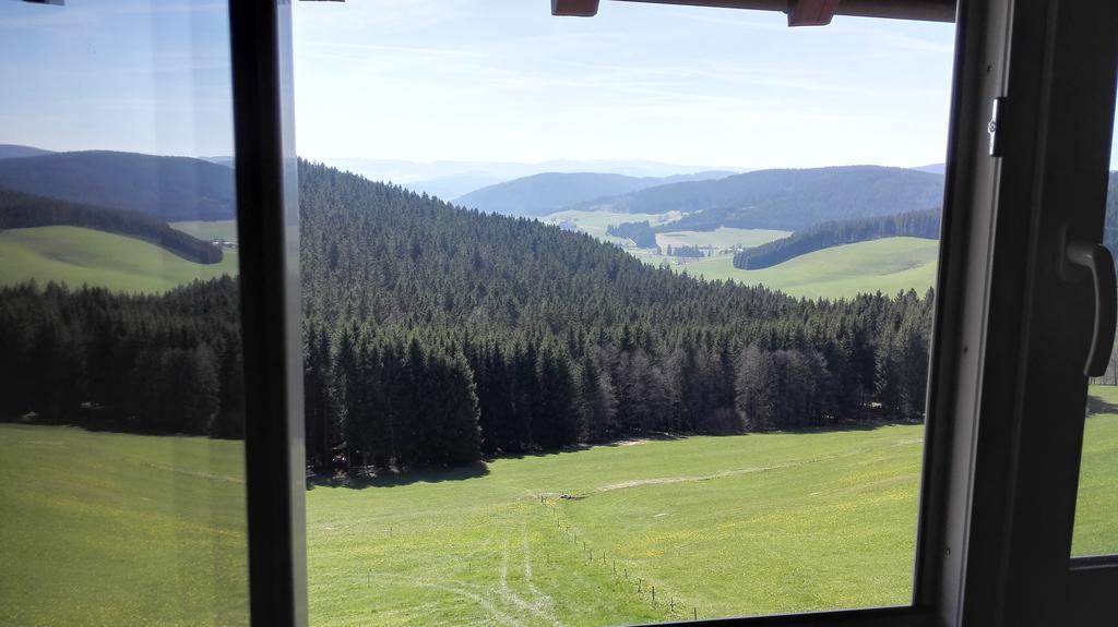 Pension Forsthaus Taele - Das Gaestehaus Vom Schwarzwaldgasthaus Salenhof Titisee-Neustadt Eksteriør billede