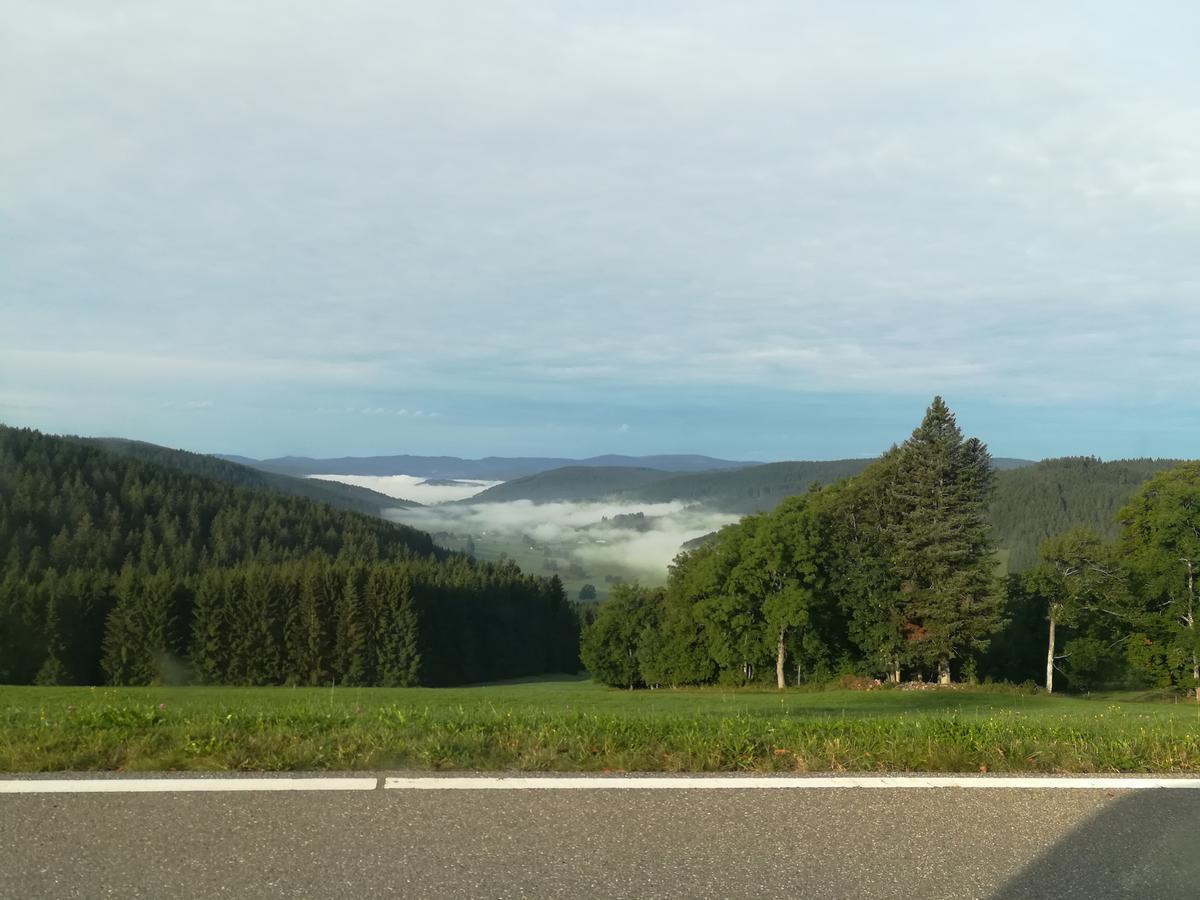 Pension Forsthaus Taele - Das Gaestehaus Vom Schwarzwaldgasthaus Salenhof Titisee-Neustadt Eksteriør billede