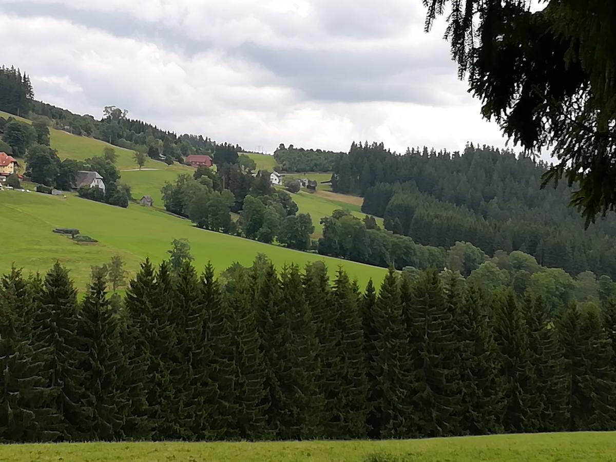 Pension Forsthaus Taele - Das Gaestehaus Vom Schwarzwaldgasthaus Salenhof Titisee-Neustadt Eksteriør billede