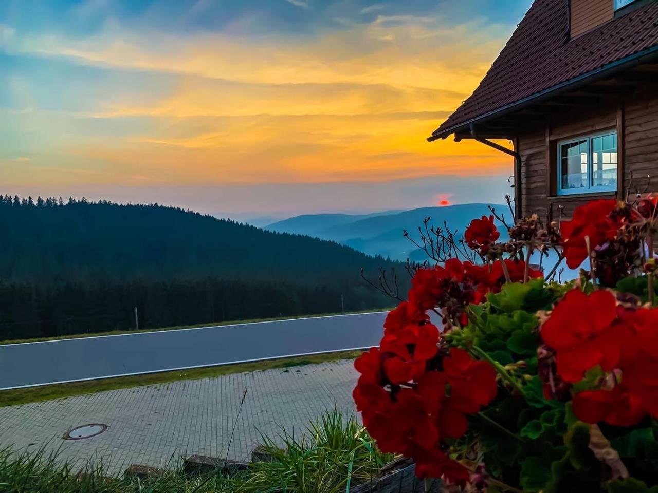 Pension Forsthaus Taele - Das Gaestehaus Vom Schwarzwaldgasthaus Salenhof Titisee-Neustadt Eksteriør billede